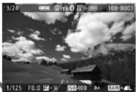 CANON EOS Rebel T7i - Select an image. - 2
