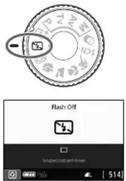 CANON EOS Rebel T7i - Shooting When You Cannot Use Flash - 1