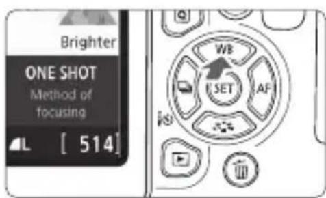 CANON EOS Rebel T7i - WB: Matching the Light Source ^☆ - 1