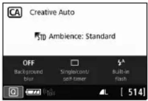CANON EOS Rebel T7i - Sample Screens - 1