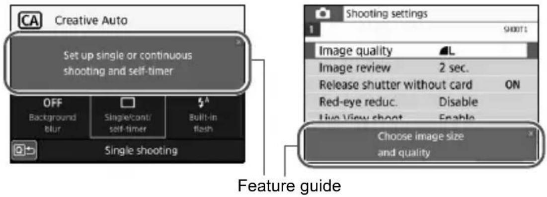 CANON EOS Rebel T7i - Sample Screens - 1