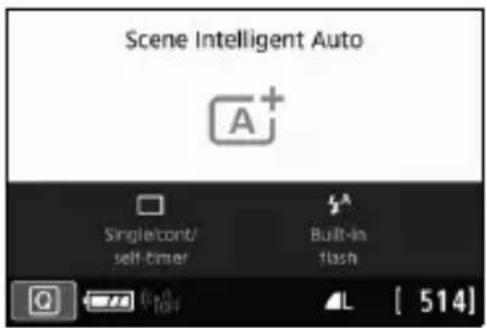 CANON EOS Rebel T7i - Basic Shooting and Image Playback - 1
