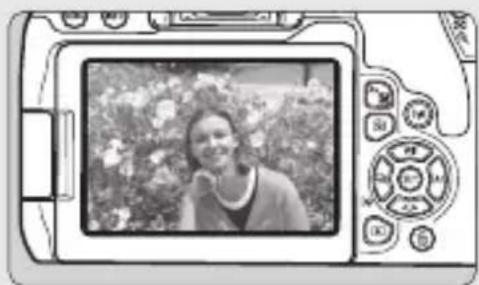 CANON EOS Rebel T7i - 9 - 1
