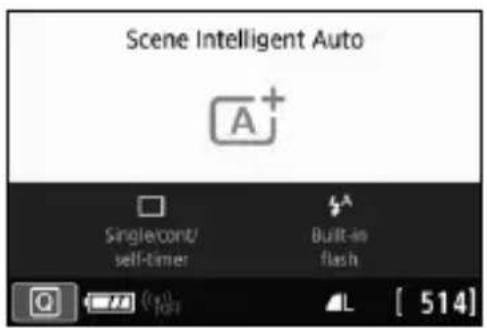 CANON EOS Rebel T7i - Switching the LCD Monitor Display - 1