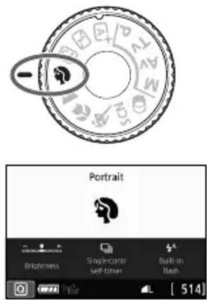 CANON EOS Rebel T7i - Shooting Portraits - 1