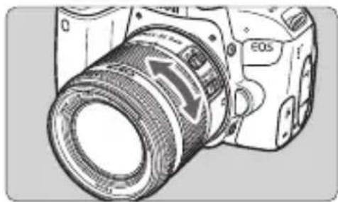 CANON EOS Rebel T7i - Zooming - 1