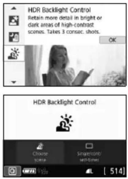 CANON EOS Rebel T7i - Shooting Backlit Scenes - 1