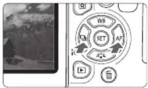 CANON EOS Rebel T7i - Play back the image. - 1