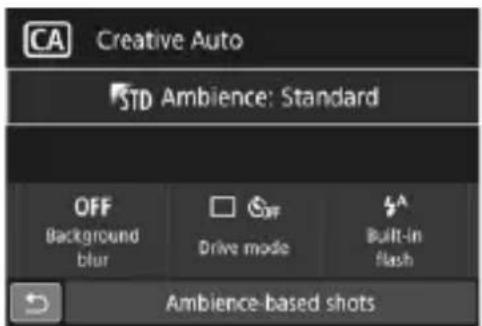 CANON EOS Rebel SL2 - Quick Control - 3