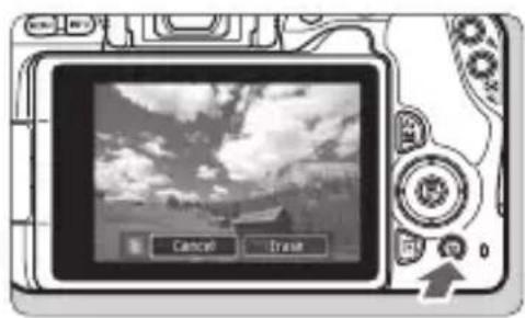 CANON EOS Rebel SL2 - Erasing Imagesfcebb0bed3f6a581c06cb140b0dacf75abfc82.jpg)


You can either select and erase unnecessary images one by one or erase them in one batch. Protected images will not be erased.

Once an image is erased, it cannot be recovered. Make sure you no longer need the image before erasing it. To prevent important images from being erased accidentally, protect them. Erasing an image shot in RAW+JPEG will erase both the RAW and JPEG images.
Erasing a Single ImageQualité image
Mode d'acquisition
Durée de revue
Déclencher obturat. sans carte ON
Opération AF | ONE SHOT AF
Map manuelle avec objectif
→OFF
MENU - 1