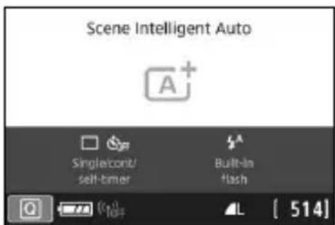 CANON EOS Rebel SL2 - Basic Shooting and Image Playback - 1