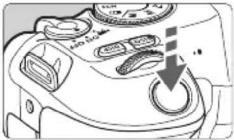 CANON EOS Rebel SL2 - Pressing Halfway - 1