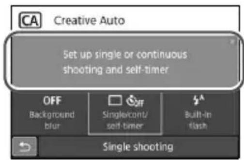CANON EOS Rebel SL2 - - Sample Screens - 1