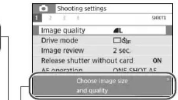 CANON EOS Rebel SL2 - - Sample Screens - 2