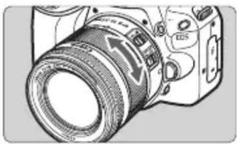 CANON EOS Rebel SL2 - Zooming - 1