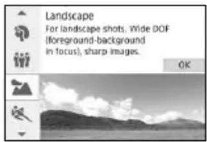 CANON EOS Rebel SL2 - Shooting Landscapes - 1