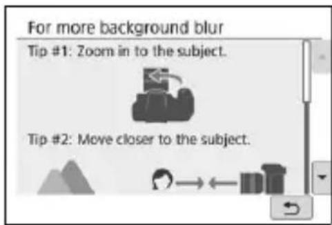 CANON EOS Rebel SL2 - Tap on the area within the frame. - 1