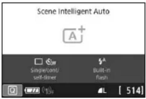 CANON EOS Rebel SL2 - Switching the LCD Monitor Display - 1