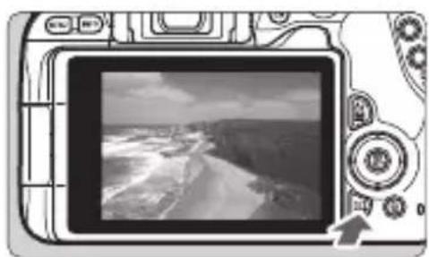 CANON EOS Rebel SL2 - Select an image to send.ez sur 

Press the <◀> <▶> keys of the cross keys to select an image to send, then press .   
By pressing the <☑•> button, you can switch to the index display and select an image.



text_imagespan="4">

MENU
Resize image Resize:$2
Send selected Send img shown
Send range Send all card


6 Select [Send img shown]. à la lumière) convenant au niveau de la lumière ambiante. Dans les modes de la zone élémentaire, la sensibilité ISO est automatiquement réglée.

![](images/300942d1727e3015f18dae2775d9775112b6c05de016420b88232517ce9b5f0a.jpg)



To select a size at which to send the image, select [Resize image] and press .   
Select [Sed img shown] and press  to send the image displayed. 
▶ Who the transfer is complete, the screen for step 5 will reappear.   
To send another image, repeat steps 5 and 6.

(3) Using the NFC Function to Send Images During Image Playbackh1 id="1-appuyez-sur-la-touche-iso-6"> - 1