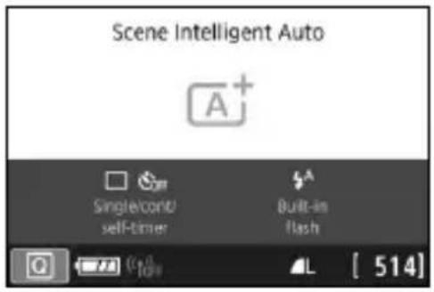 CANON EOS Rebel SL2 - Battery Level Indicator - 1