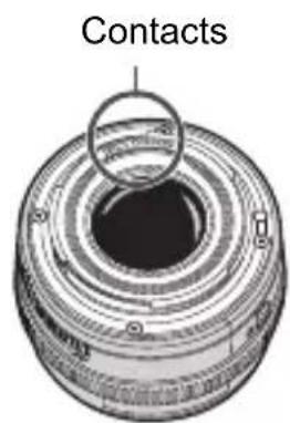 CANON EOS Rebel SL2 - Objectif9c51248ce66e544d708e8826f2af272957d2f588352147fb020a8637723ab.jpg) - 1