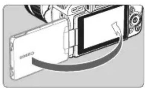 CANON EOS Rebel SL2 - Rotate the LCD monitor. - 1