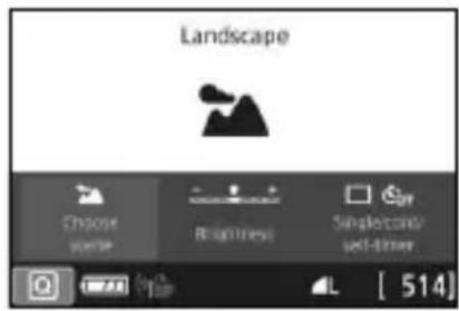 CANON EOS Rebel SL2 - Shooting Landscapes - 2