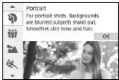 CANON EOS Rebel SL2 - Shooting Portraits - 1