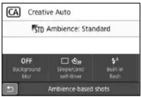 CANON EOS Rebel SL2 - Quick Control - 1