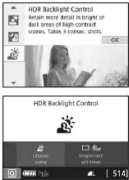 CANON EOS Rebel SL2 - Shooting Backlit Scenes - 1