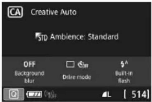 CANON EOS Rebel SL2 - - Sample Screens - 2