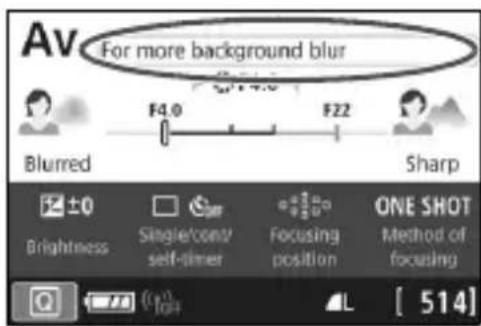 CANON EOS Rebel SL2 - Shooting Tips - 1