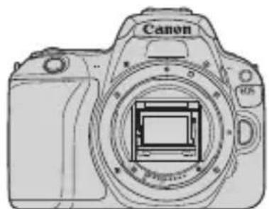 CANON EOS Rebel SL2 - Liste de vérification des éléments> - 1