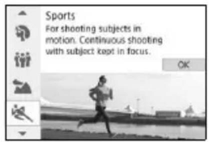 CANON EOS Rebel SL2 - Shooting Moving Subjects - 1