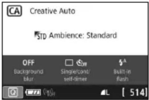 CANON EOS Rebel SL2 - - Sample Screens - 1