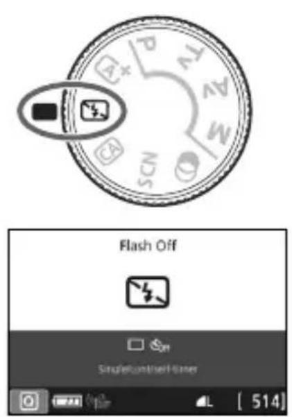 CANON EOS Rebel SL2 - Shooting When You Cannot Use Flash - 1
