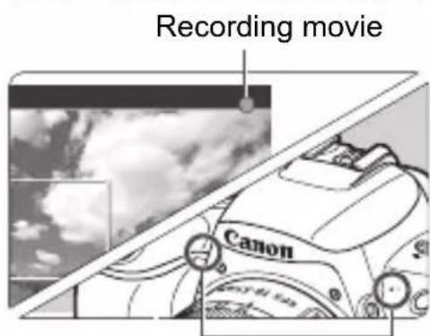 CANON EOS Rebel SL2 - Shoot the movie."> - 1