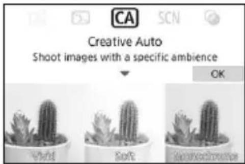 CANON EOS Rebel SL2 - Select [Enable]. - 1