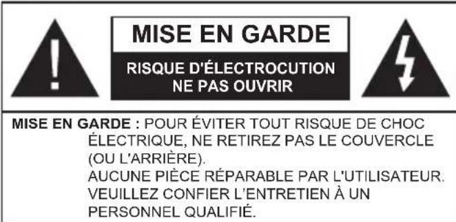 TELEFUNKEN A43F446A - Consignes de sécurité - 1