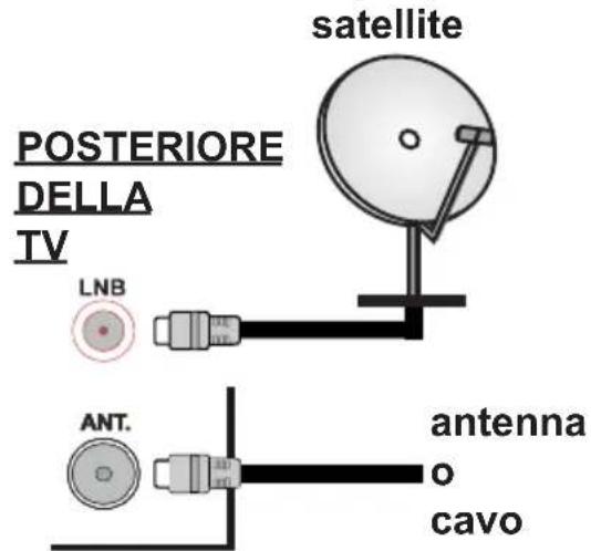 TELEFUNKEN A43F446A - Collegamento Antenna - 1