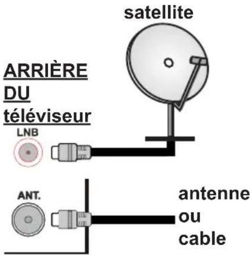 TELEFUNKEN A43F446A - Branchement de l'antenne - 1