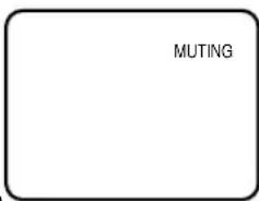 JVC AV14F703 - MUTING button - 1