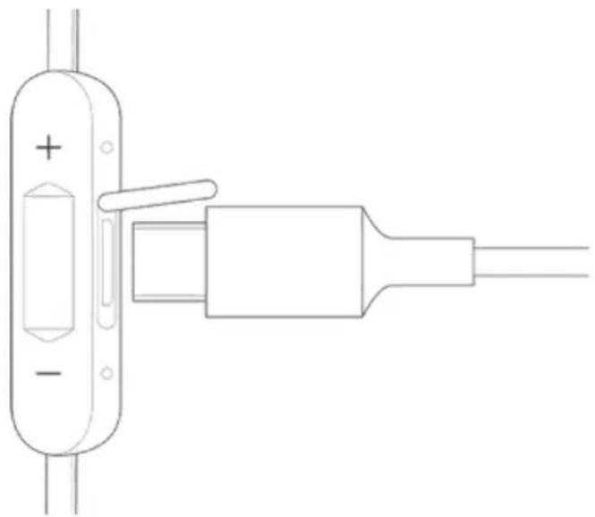 FITBIT Flyer - Recharger les écouteurs Flyer - 1