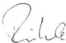 Flex L 1506 VR - Соответствие нормам СЕ - 1