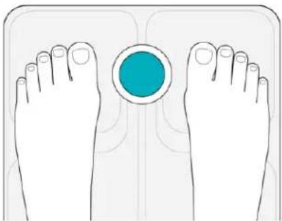 FITBIT Aria 2 - Réalisation d'une pesée - 1