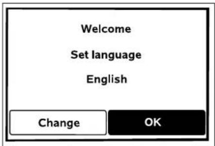 VIKING iMow MI 632 P - Setting the language, date and time - 3