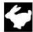 VIKING MB 545 VM - Symbolforklaring - 11