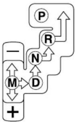 MAZDA speed 3 (2007) - Boîtedevitesses automatique - 3
