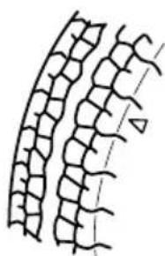 MAZDA speed 3 (2007) - (Avecsystémedesurveillancede pressiondespneus) - 1