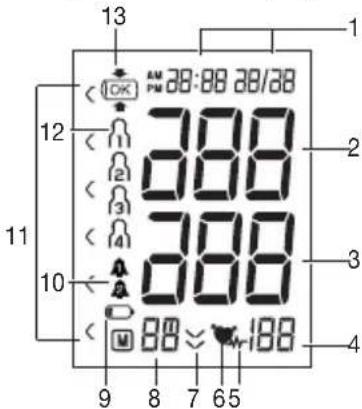SANITAS SBM 22 - Anzeigen auf dem Display: - 1